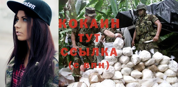 гашик Гвардейск