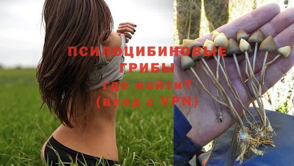 apvp Пролетарск