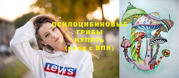 соль ск Протвино