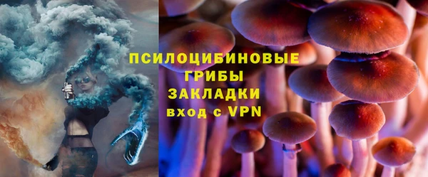 соль ск Протвино