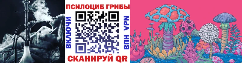 хочу наркоту  Рославль  Галлюциногенные грибы Magic Shrooms 