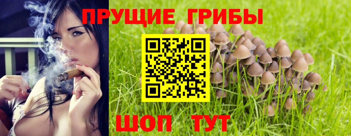 Псилоцибиновые грибы Magic Shrooms Рославль